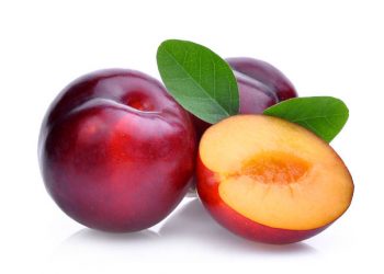 Baik untuk Kecantikan Kulit hingga Rambut, Ini Manfaat Tersembunyi yang Tersimpan dalam Buah Plum