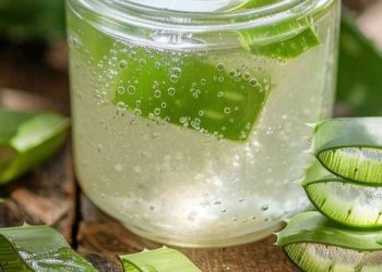 Lidah Buaya Baik untuk Kesehatan Tubuh, Cek di Sini!Bisa Mengobati Kulit