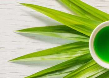 Cek Manfaat Konsumsi Air Daun Pandan Ini, Ampuh Mengatasi Insomnia, Yuk Rutinkan