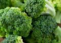 Ini Efek Samping Brokoli bagi Tubuh, Salah Satunya Bisa Sebabkan Gangguan Tiroid