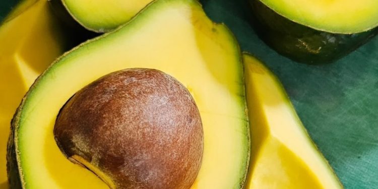 Ini Manfaat Biji Alpukat bagi Kesehatan, Ampuh Meningkatkan Daya Tahan Tubuh