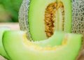 Manfaat Buah Melon bagi Kecantikan, Dipercaya Dapat Mencerahkan Kulit, Cek di Sini!