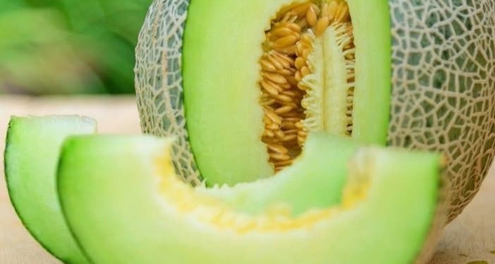Manfaat Buah Melon bagi Kecantikan, Dipercaya Dapat Mencerahkan Kulit, Cek di Sini!