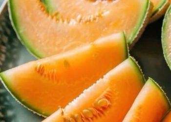 Ini Manfaat Buah Melon bagi Kesehatan Tubuh, Dapat Menurunkan Tekanan Darah