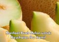 Ini Manfaat Buah Melon untuk Bumil, Salah Satunya Dapat Mengurangi Sembelit