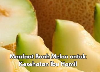 Ini Manfaat Buah Melon untuk Bumil, Salah Satunya Dapat Mengurangi Sembelit