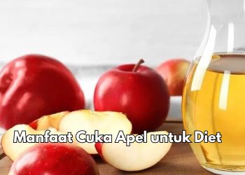 Cuka Apel Baik untuk Kesehatan Tubuh, Cek Manfaat di Sini, Cocok untuk Diet