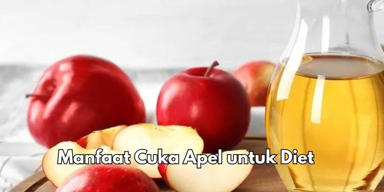 Cuka Apel Baik untuk Kesehatan Tubuh, Cek Manfaat di Sini, Cocok untuk Diet