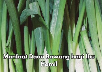 Ibu Hamil Perlu Konsumsi Daun Bawang Ini, Cek Manfaat Rincinya di Sini