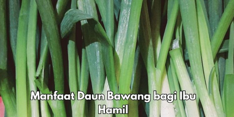 Ibu Hamil Perlu Konsumsi Daun Bawang Ini, Cek Manfaat Rincinya di Sini