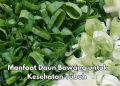Cek Manfaat di Sini! Daun Bawang Bisa Mencerahkan Kulit, Cukup Konsumsi Sehari-hari