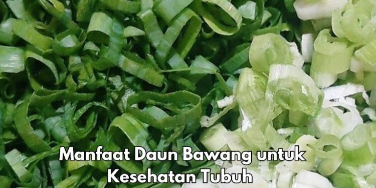 Cek Manfaat di Sini! Daun Bawang Bisa Mencerahkan Kulit, Cukup Konsumsi Sehari-hari