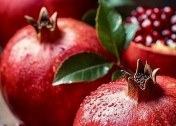 Manfaat Lain Buah Delima untuk Kesehatan, Dapat Mencegah Penuaan Dini