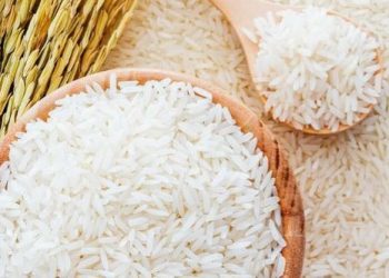 Manfaat Beras untuk Kecantikan, Ampuh Mengatasi Jerawat, Cek di Sini!