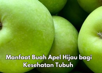 Cek di Sini! Manfaat dari Konsumsi Buah Apel Hijau Sehari-hari, Bisa Mengurangi Risiko Diabetes