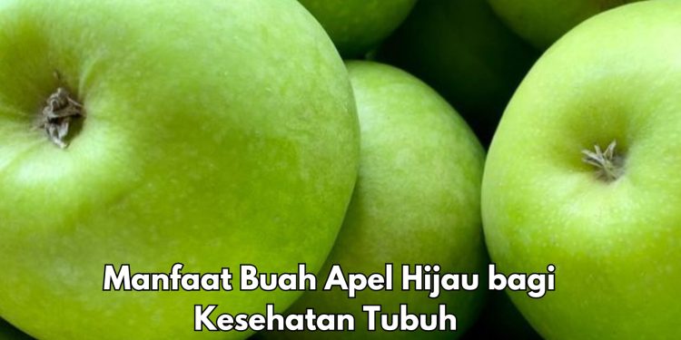Cek di Sini! Manfaat dari Konsumsi Buah Apel Hijau Sehari-hari, Bisa Mengurangi Risiko Diabetes