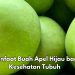 Cek di Sini! Manfaat dari Konsumsi Buah Apel Hijau Sehari-hari, Bisa Mengurangi Risiko Diabetes