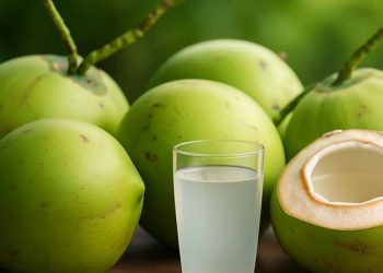 Ini Daftar Minuman yang Penting Dikonsumsi, Baik untuk Kesehatan Ginjal