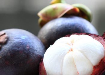 Buah Manggis Ini Punya Manfaat Dapat Meredakan Radang, Cek di Sini