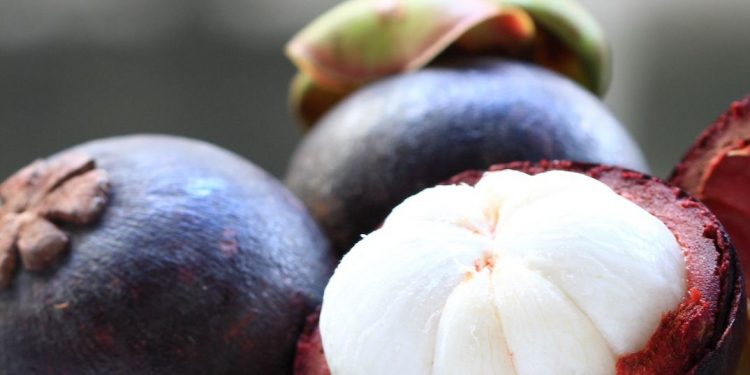 Buah Manggis Ini Punya Manfaat Dapat Meredakan Radang, Cek di Sini