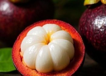 Cek di Sini! Buah Manggis Ini Baik untuk Bumil, Cukup Konsumsi Sesuai Kebutuhan