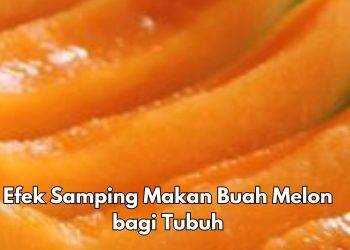 Cek di Sini! Efek Samping Buah Melon bagi Tubuh, Hati-hati Bisa Sebabkan Masalah Pencernaan