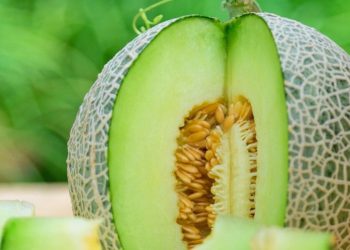 Dapat Mengatasi Jerawat dengan Buah Melon, Cek Manfaat Lainnya di Sini