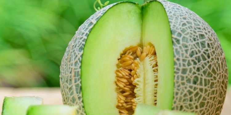 Dapat Mengatasi Jerawat dengan Buah Melon, Cek Manfaat Lainnya di Sini