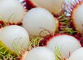 Bingung Mengatasi Jerawat? Coba Konsumsi Rambutan, Cek Manfaat Rincinya di Sini