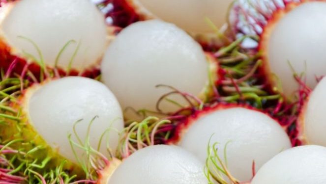 Bingung Mengatasi Jerawat? Coba Konsumsi Rambutan, Cek Manfaat Rincinya di Sini