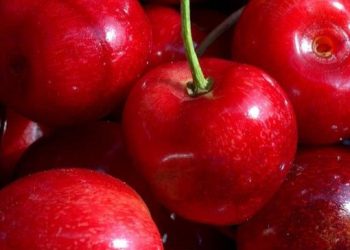 Cara Mudah Mengatasi Insomnia, Konsumsi Secukupnya! Cek Makanan Sehat Ini