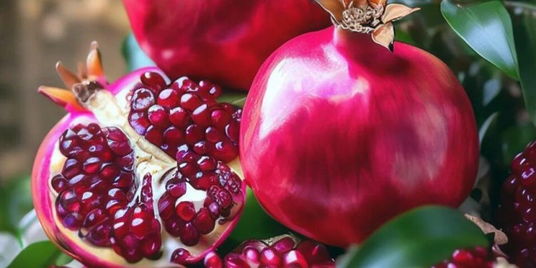 Cek Fakta tentang Buah Delima di Sini! Tidak Hanya Baik untuk Kesehatan