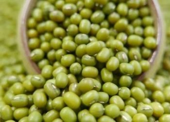 Manfaat Kacang Hijau Sehari-hari, Ampuh Mengontrol Tekanan Darah, Cek Rincinya di Sini