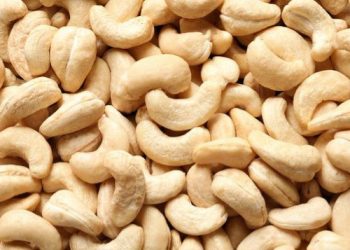 Manfaat dari Kacang Mete untuk Tubuh, Cek Sekarang! Ampuh Menjaga Kesehatan Kulit