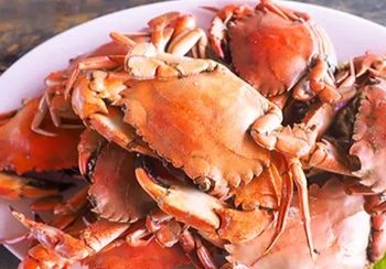 Cocok untuk Dikonsumsi, Makanan Sehat Ini Bisa Meredakan Anemia, Cek di Sini