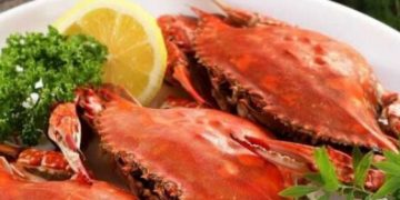 Bisa Mengatasi Anemia, Cek Makanan Sehat Ini! Yuk Rutinkan