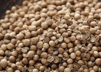 Cek Manfaat Lain Daun Ketumbar bagi Kecantikan, Bisa Meredakan Jerawat