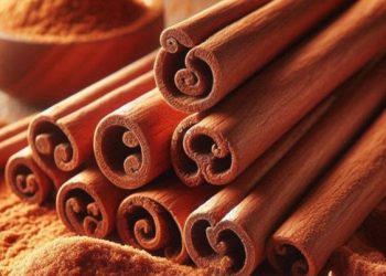 Cek Manfaat Kayu Manis yang Jarang Diketahui di Sini, Ampuh Menurunkan Berat Badan