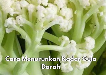 Konsumsi Makanan Berserat Bisa Meredakan Kadar Gula Darah, Cek Cara Lainnya di Sini