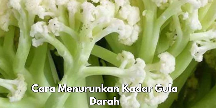 Konsumsi Makanan Berserat Bisa Meredakan Kadar Gula Darah, Cek Cara Lainnya di Sini