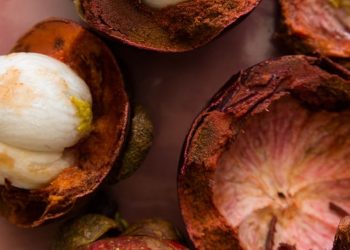 Kulit Manggis Punya Manfaat Dapat Mencegah Sembelit, Cek Kandungannya di Sini!