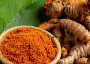 Bahan Alami Ini Dapat Mengurangi Flek Hitam di Hidung, Cek di Sini! Salah Satunya Kunyit