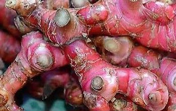 Cek Manfaat Lain Lengkuas untuk Obat Herbal, Ampuh Mengatasi Gangguan Pencernaan