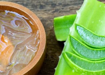 Ini Efek Samping Lidah Buaya yang Perlu Diketahui, Salah Satunya Sebabkan Iritasi