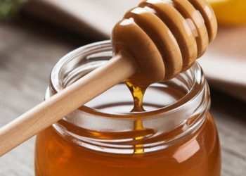 Ini Minuman Madu yang Enak dan Sehat, Dapat Membantu Menjaga Pencernaan, Cek di Sini