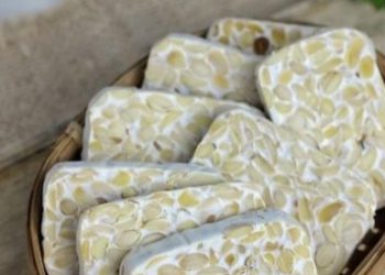 Cara Membuat Makanan Tempe Enak, Cek di Sini! Cobain Sambal Tempe Kemangi Ini