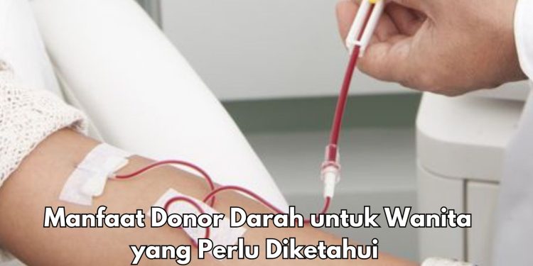 5 Manfaat Donor Darah bagi Wanita yang Perlu Diketahui, Dapat Menjaga Sirkulasi Darah
