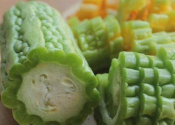 Perlu Tahu! Manfaat Konsumsi Pare untuk Tubuh, Ampuh Redakan Gangguan Pernapasan