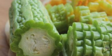 Perlu Tahu! Manfaat Konsumsi Pare untuk Tubuh, Ampuh Redakan Gangguan Pernapasan