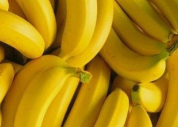 Rekomendasi Camilan Enak dan Sehat Sehari-hari, Coba Konsumsi Makanan Ini!